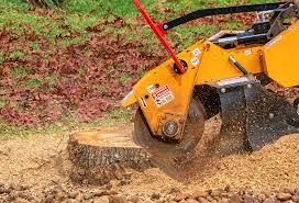 How Our Tree Care Process Works  in  Delano, MN